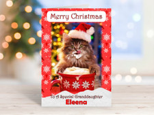 Personalised Cat Christmas