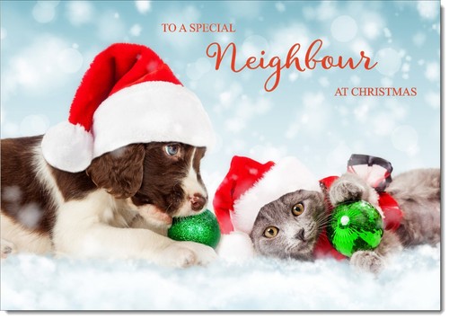 Doodlecards neighbour - doodlecards,