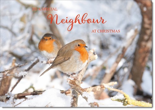 Doodlecards neighbour - doodlecards,