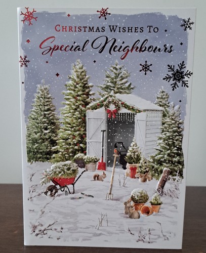 Special neighbours christmas - neighbours,